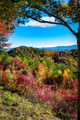 autumn landscape in the mountains