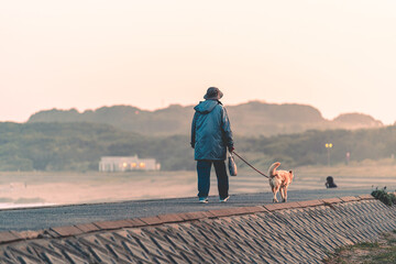 夕方の犬の散歩とコピースペース