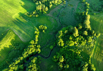 Zigzag River in wild. Water supply. Small river in field and forest in swamp, Aerial view. Wildlife Refuge Wetland Restoration. Green Nature Scenery. River in Wildlife. Freshwater Lakes and Ecosystem.