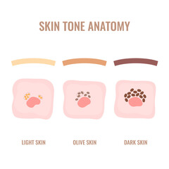 Melanosome cells and skin pigmentation mechanism. Melanin pigment content and distribution diagram in different ethnic skin types. Vector illustration.