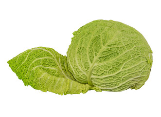 green white cabbage lie on a white background