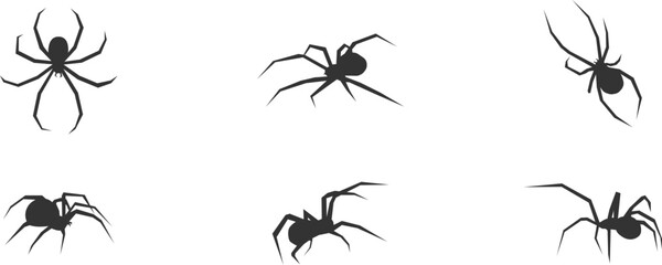 Fototapeta Halloween spider set icons. Silhouette of black insect icon. Vector holiday october poster, flat horror obraz