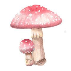 Mushroom watercolor hand painted