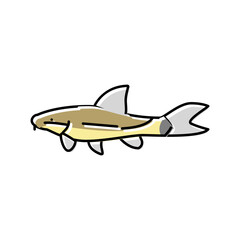 otocinclus fish color icon vector illustration