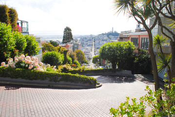 San Francisco on Winding Lombard Street