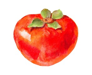 red persimmon  isolated on white