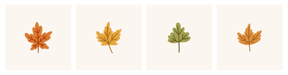 Collection of different autumn leaves. Cute fall elements. Dry foliage, maple tree leaf illustration. Vector set. 