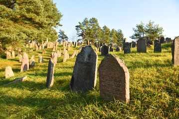 Naklejka premium Cemetery with graves and tombstones. Abandoned grave. Gravestone on graveyard in forest. Old tombstone in old Cemetery.