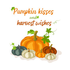 Pumpkin kisses and harvest wishes - Hand drawn fall text. Autumn color poster. Good for farmhouse decoration, poster, greeting card, banner, textile, gift, shirt, mug or other gift.