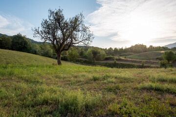 Fototapeta premium Tramonto in campagna