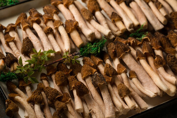 Morel mushrooms on a tray