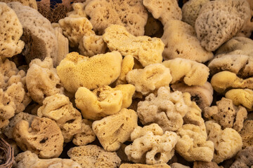 Natural  sea sponges