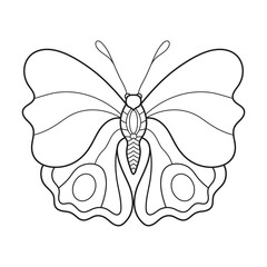 butterfly outline drawing for kids