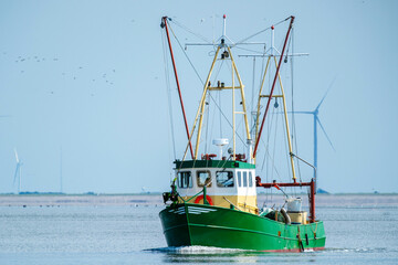 Fisheries on the Wadden Sea
