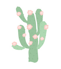 Cactus illustration. Vector hand drawn illustration for postcard, print, clothing print, web.