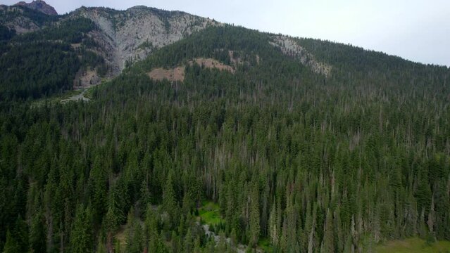 Okanogan-Wenatchee National Forest C3