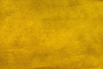 yellow texture © Olena 