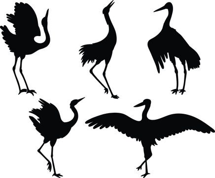 Set of Friendly cute Black crowned or Japanese Crane different Poses Flat vector Silhouettes