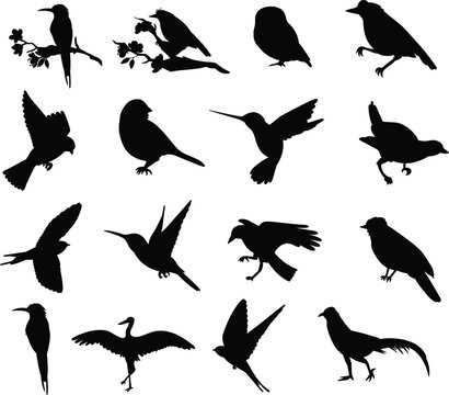 Set of Flying Bird different Poses Flat vector Silhouettes