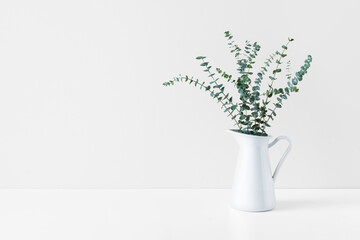 Eucalyptus branches in white ceramic vase on empty wall background