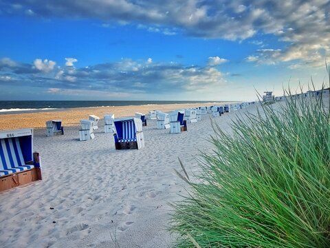 beach chairs on the beach