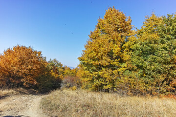 Fototapeta na wymiar Autumn landscape of Cherna Gora mountain, Bulgaria