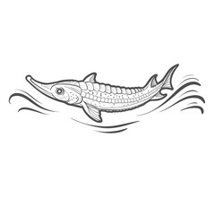 logo, a fish similar to a pike swims in the waters, isolated object on a white background, vector illustration,