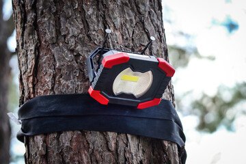Hiker flash light lamp tied to a tree trunk in forest with blurry sky background
