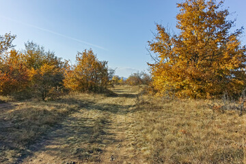 Fototapeta premium Autumn landscape of Cherna Gora mountain, Bulgaria