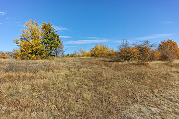 Obraz premium Autumn landscape of Cherna Gora mountain, Bulgaria