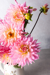 Pink dahlias, beautiful summer flowers in a vase