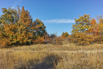 Fototapeta premium Autumn landscape of Cherna Gora mountain, Bulgaria