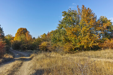 Fototapeta premium Autumn landscape of Cherna Gora mountain, Bulgaria