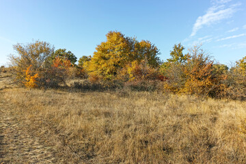 Autumn landscape of Cherna Gora mountain, Bulgaria
