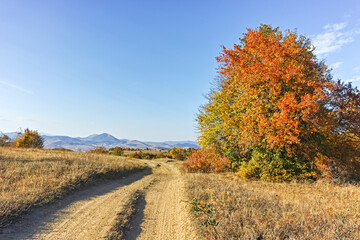 Fototapeta premium Autumn landscape of Cherna Gora mountain, Bulgaria