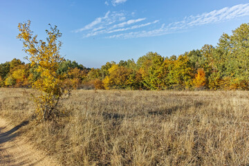 Autumn landscape of Cherna Gora mountain, Bulgaria