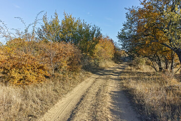 Autumn landscape of Cherna Gora mountain, Bulgaria