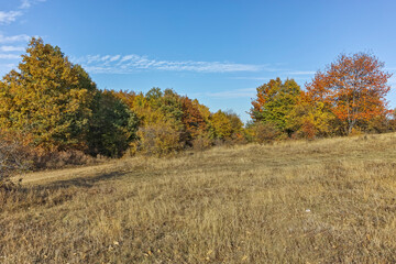 Autumn landscape of Cherna Gora mountain, Bulgaria
