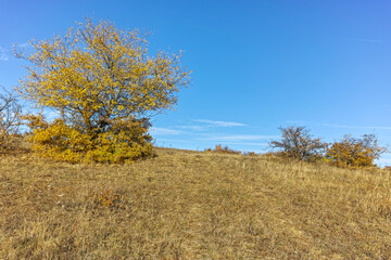 Fototapeta premium Autumn landscape of Cherna Gora mountain, Bulgaria
