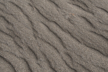 Fototapeta na wymiar Sand waves and texture of desert as background. Lack of water, hot dry soil. Lifeless landscape without vegetation