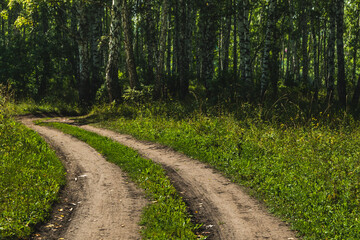 Dirt road in birch forest. Trip through countryside. Rays of sun make their way through green foliage. Atmosphere of fresh summer day. - 525601371