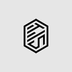 TS bold line geometric initial logo design which is good for branding
