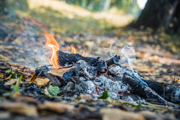 Fire with smoke in autumn. Yellow leaves on ground.