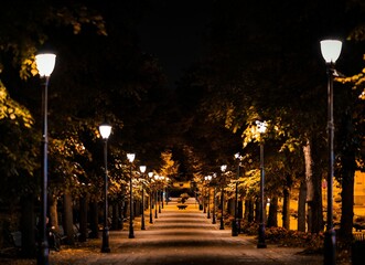 Beautiful shot of a road lined with lamp posts during nighttime