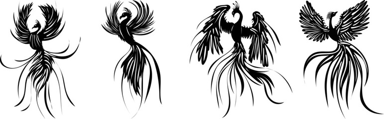 phoenix bird silhouette, set isolated, vector