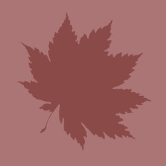 Maple leaf in pink and lilac tones