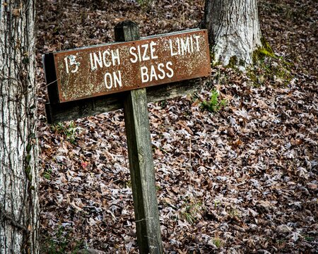 Closeup of an old sign of "15inch size limit on bass" in a forest