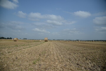 round haystack, mowed wheat straw field, haystacks on the field, stubble	