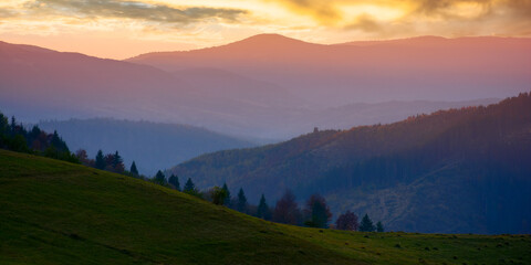 mountain rural landscape at dusk. grassy meadows and forested hills of carpathian countryside scenery on a warm autumn evening. distant range beneath a sky with clouds. explore the beauty of ukraine - obrazy, fototapety, plakaty