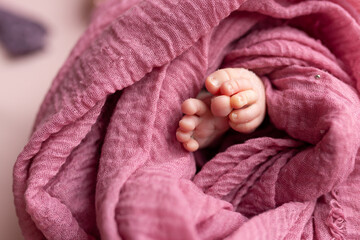 feet of a newborn baby in cloth. little baby feet. care and comfort. a family. hygiene